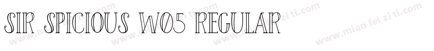 Sir Spicious W05 Regular字体转换